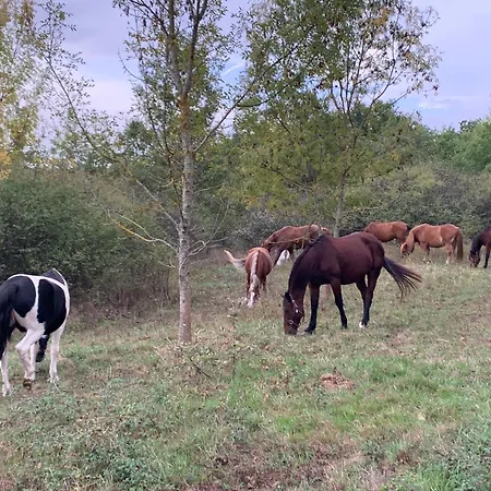 Domaine Du Cheval D Argent Saiguede