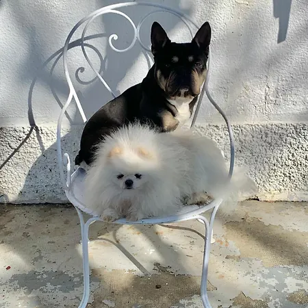 Couette-café Domaine Du Cheval D Argent