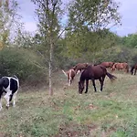 Domaine Du Cheval D Argent Saiguede