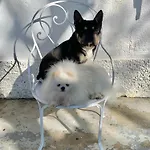 Bed and Breakfast Domaine Du Cheval D Argent