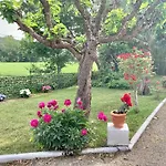 Bed and Breakfast Domaine Du Cheval D Argent