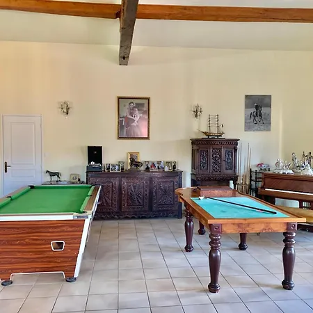 住宿加早餐酒店 Domaine Du Cheval D Argent Saiguede