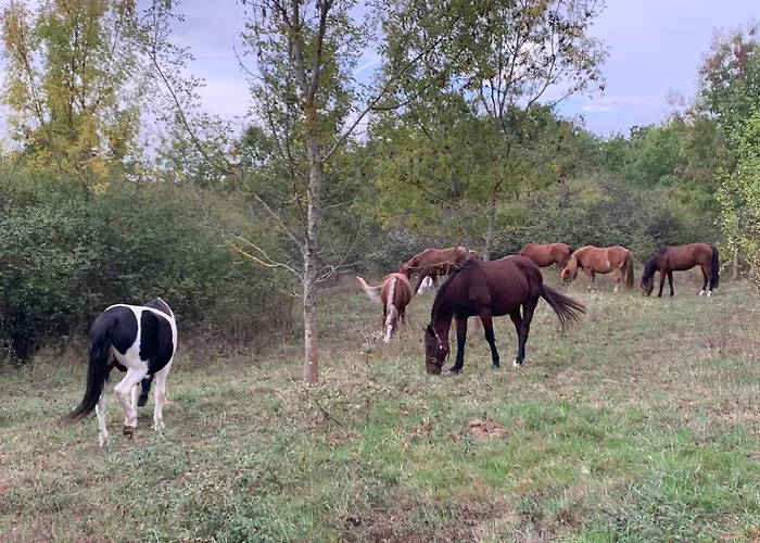 Domaine Du Cheval D Argent Saiguede