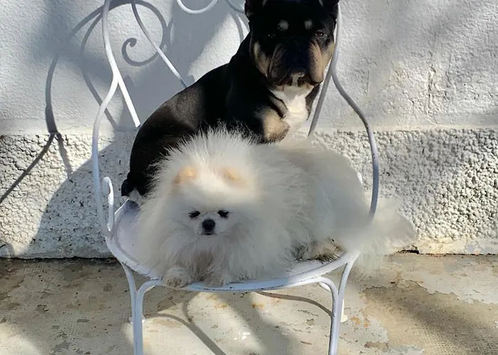 Bed & Breakfast Domaine Du Cheval D Argent